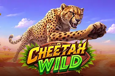 Cheetah Wild